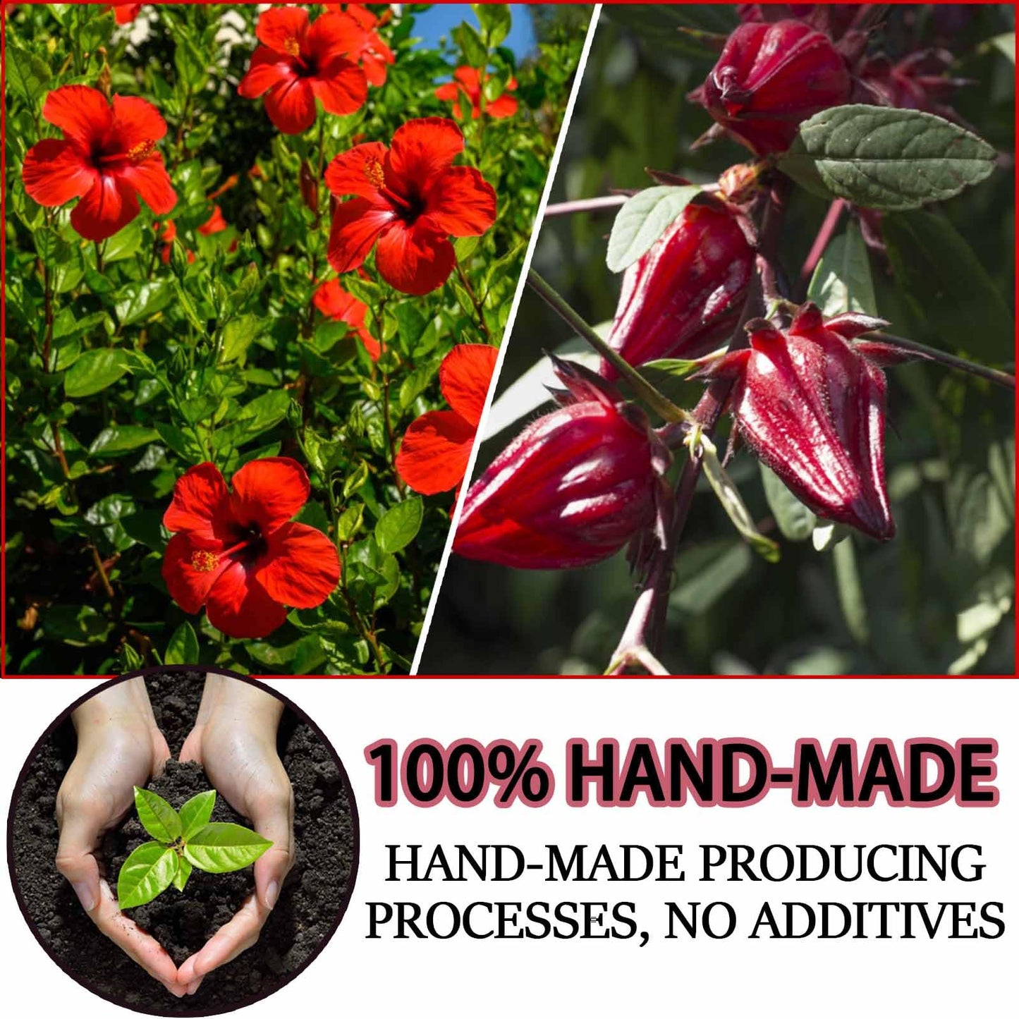XICOFISS Premium Hibiscus Tea Bags, 100% Natural, Handmade, Vegan, No Additives, Caffeine, Sugar, Gluten