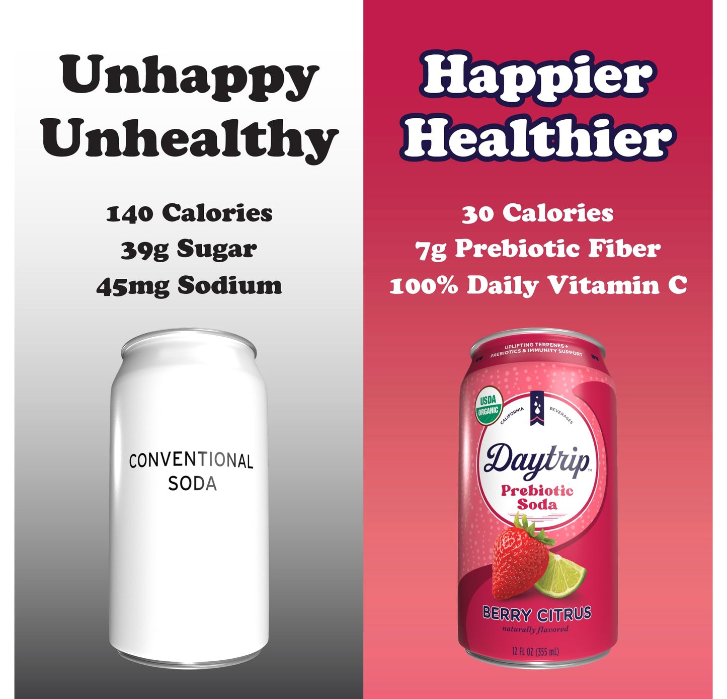 Daytrip Organic Sparkling Prebiotic Soda, Low Sugar, 12-Pack - Berry Citrus