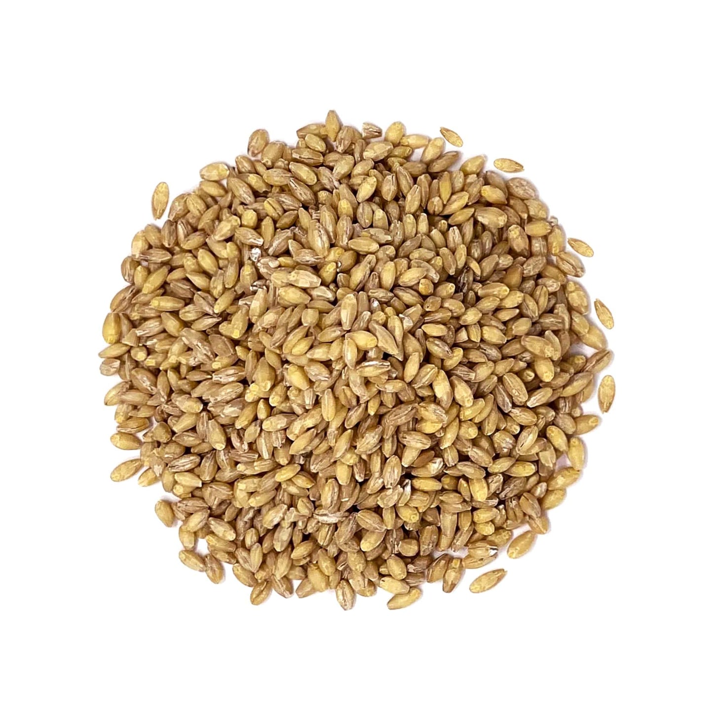 Food to Live Hulled Barley Grain, 100% Whole Grain, Vegan, 6 Pounds, Great for Baking and Brewing