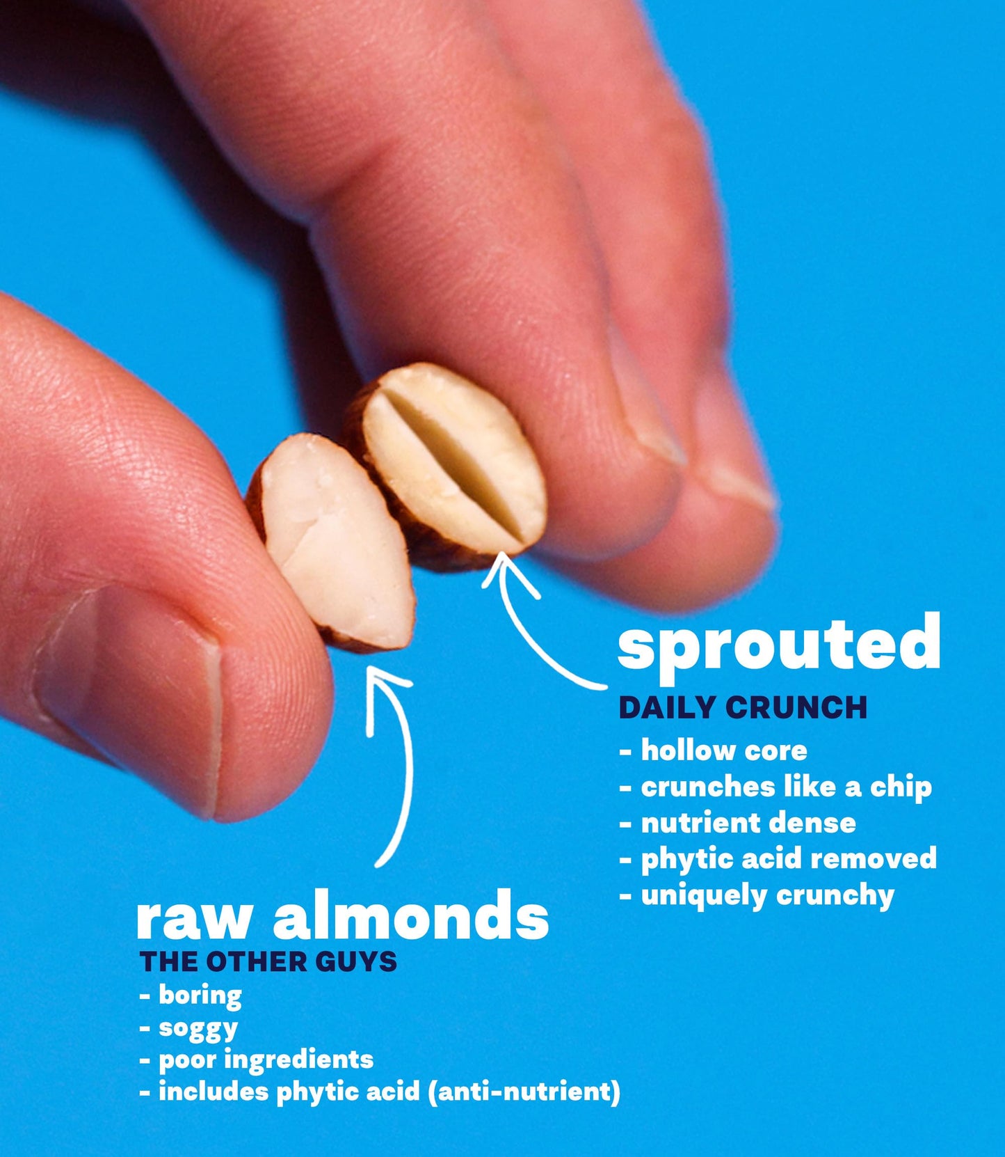 Daily Crunch Sprouted Almonds, Dill Pickle, 4 Ounce Bags, Pack Of 2 - Sprouted And Dehydrated For A Unique Crunch, Keto Friendly