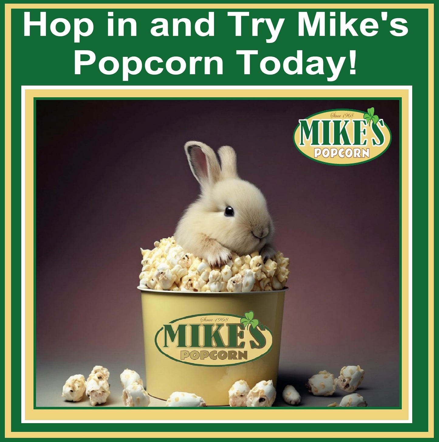Mike's Popcorn Butter Popcorn - 14 Ounce (Pack of 1) - Delicious, Rich Flavor