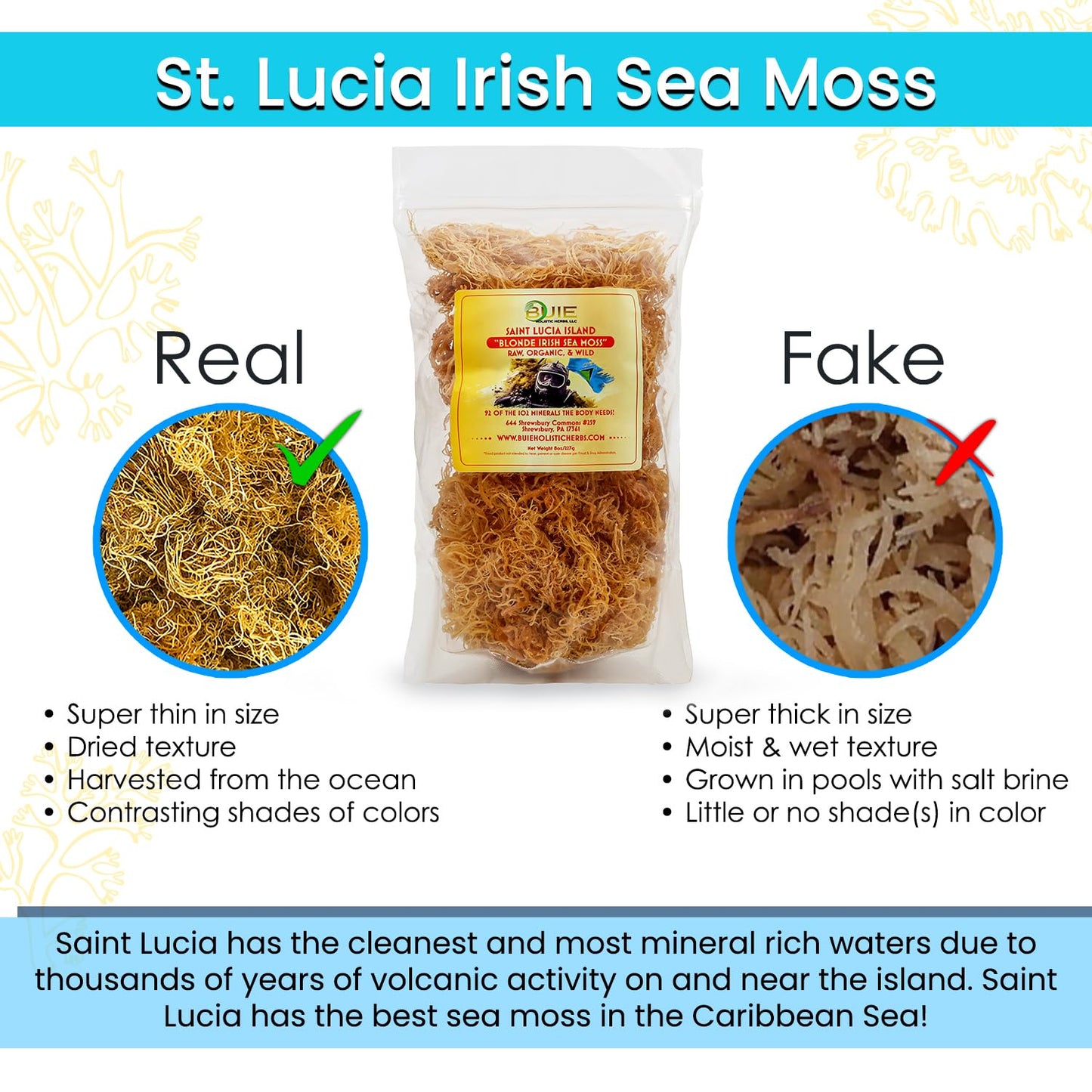 Buie Holistic Herbs Golden Irish Sea Moss, Pure Wildcrafted, Nutrient-Rich, Dr. Sebi Inspired - Makes 30+ Oz Gel | Pure & Natura