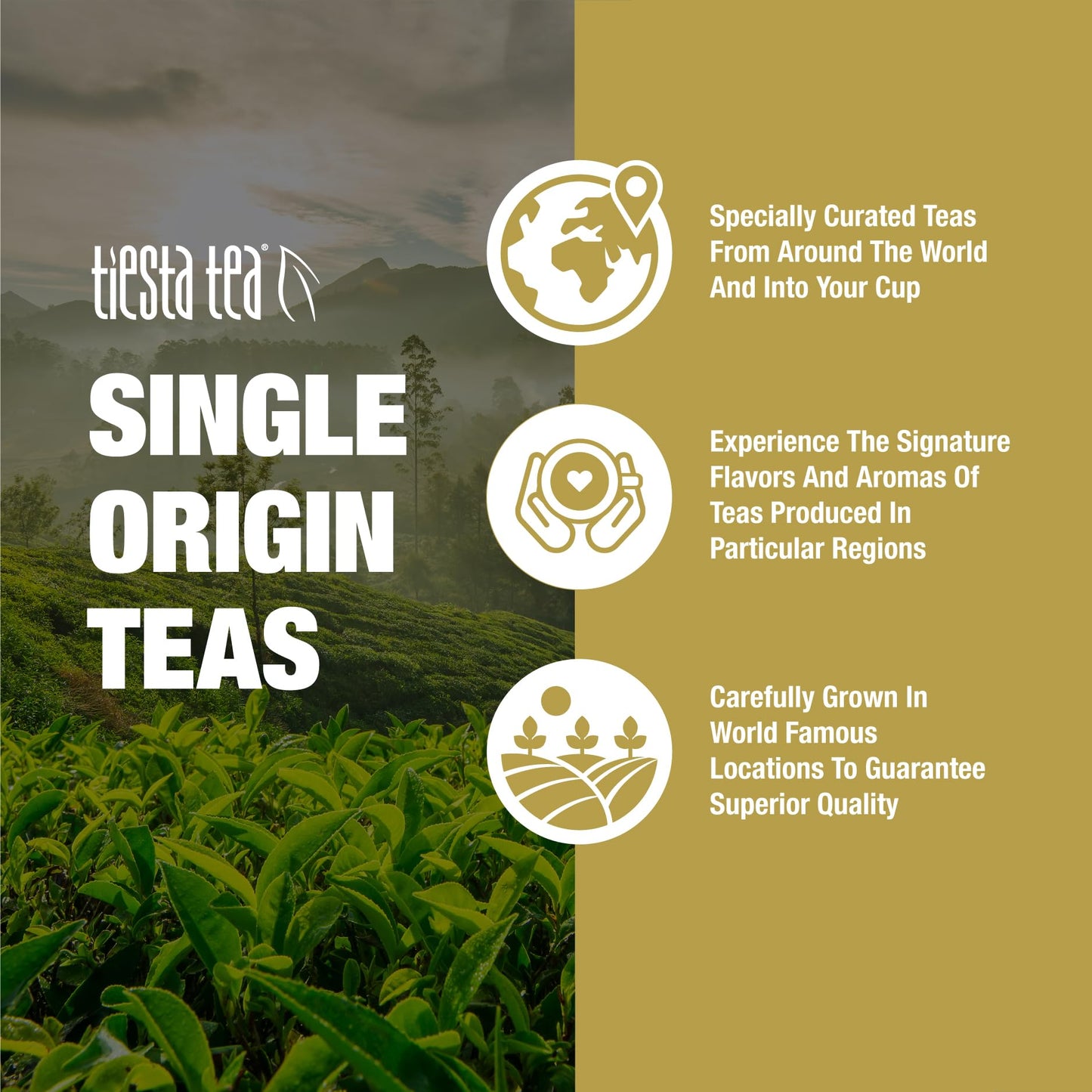Tiesta Tea Silver Needle White Tea Loose Leaf Premium 12oz Bulk Pouch Brews Up to 200 Cups