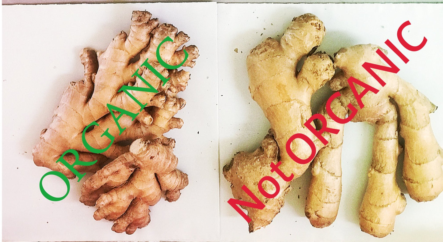 Non Gmo Fresh Ginger From Peru (1)