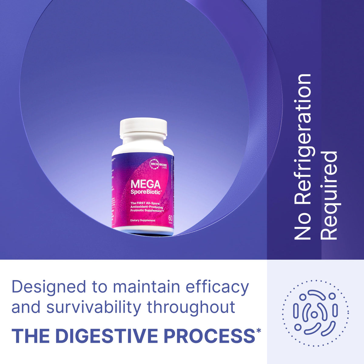 Spore-Based Probiotic for Women & Men — Gut Health & Digestive Support