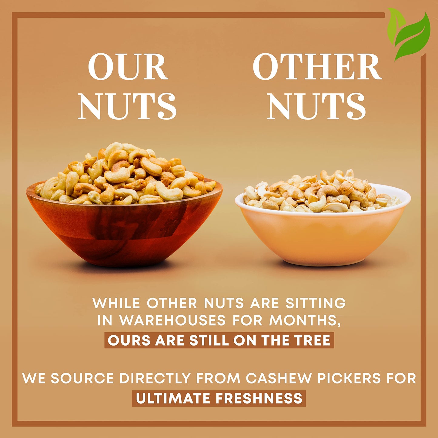 Oven Dry Roasted Fancy Cashews with Sea Salt-48 oz (3 lb) | Whole | No Oil | No PPO | Vegan and Keto Friendly | Made from Natura