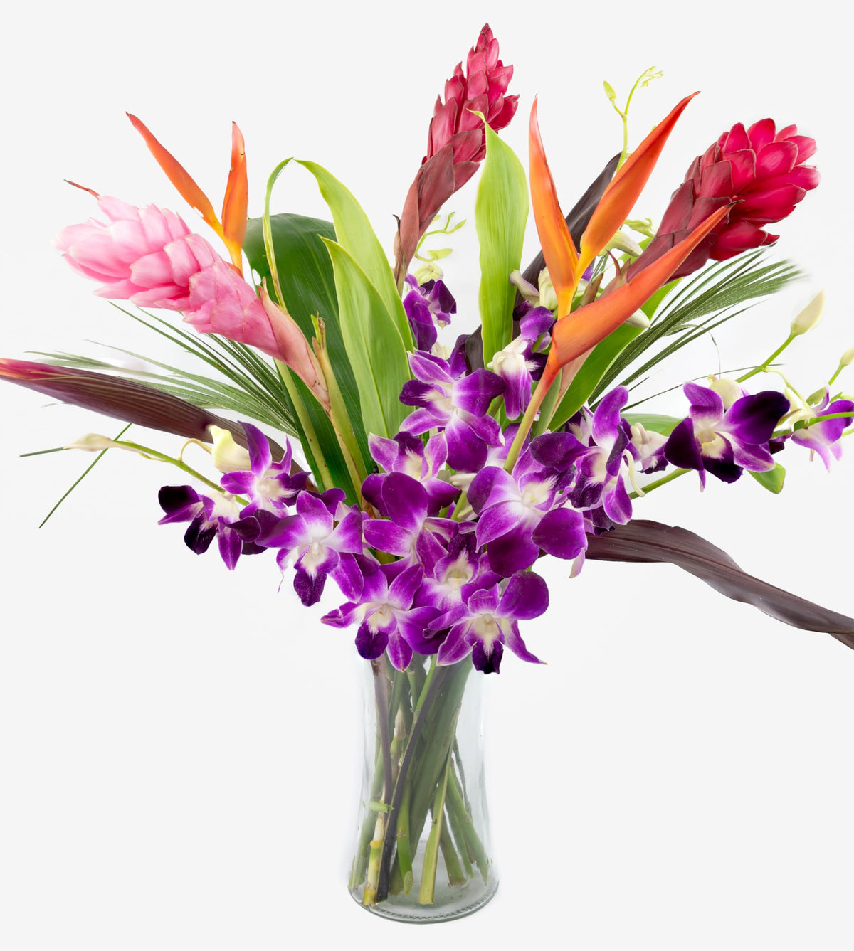 Fresh Orchids And Tropical Flower Bouquet  Purple Orchids  Red Flavor Blendger  Heliconia  Mixed Foliage  Hawaiian - Prime Quality - Perfect For Birthdays  Easter  MotherS Day  Anniversaries  Gifts  Etc.