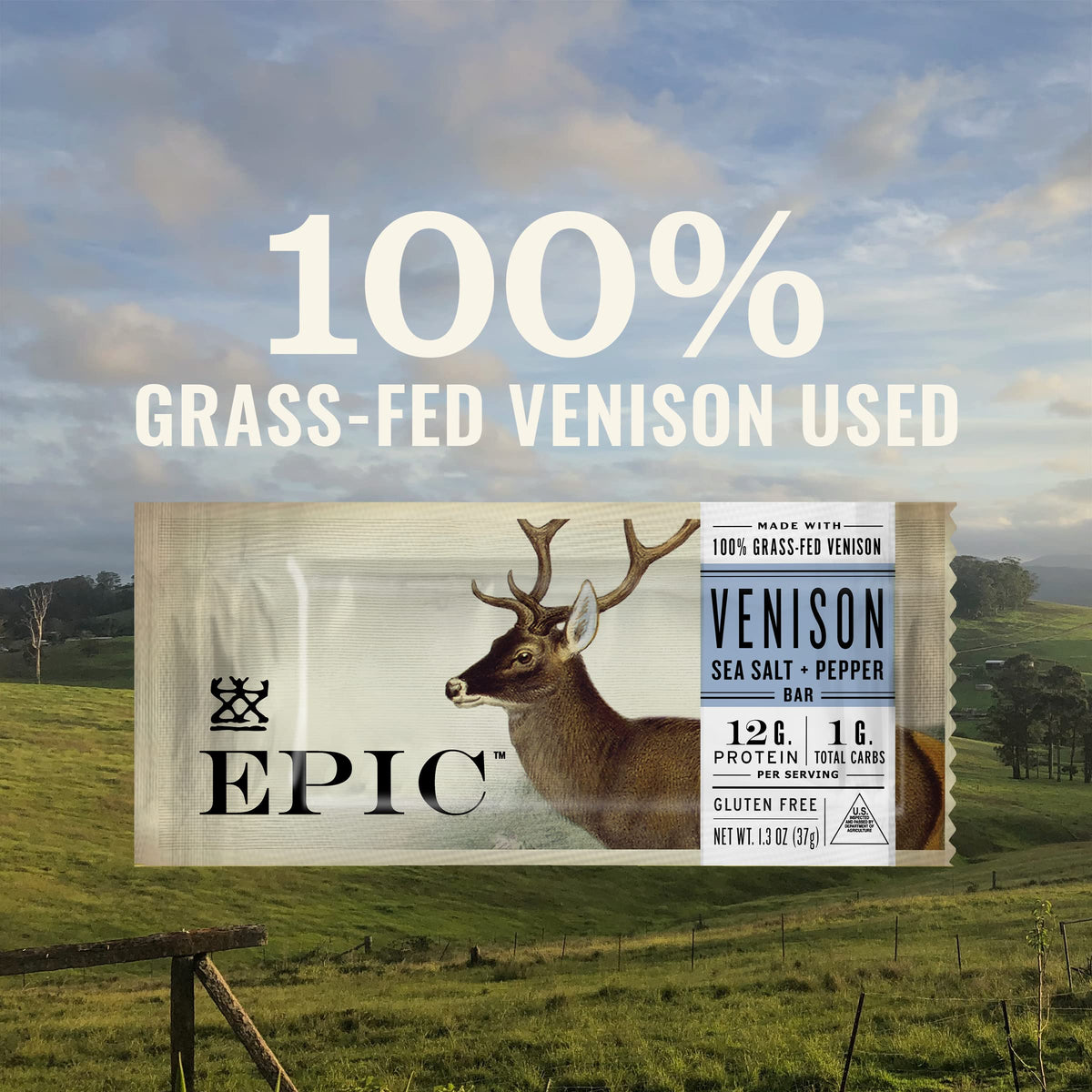 Epic Venison Sea Salt & Pepper Bars, Keto Friendly, Gluten Free, 12 Ct