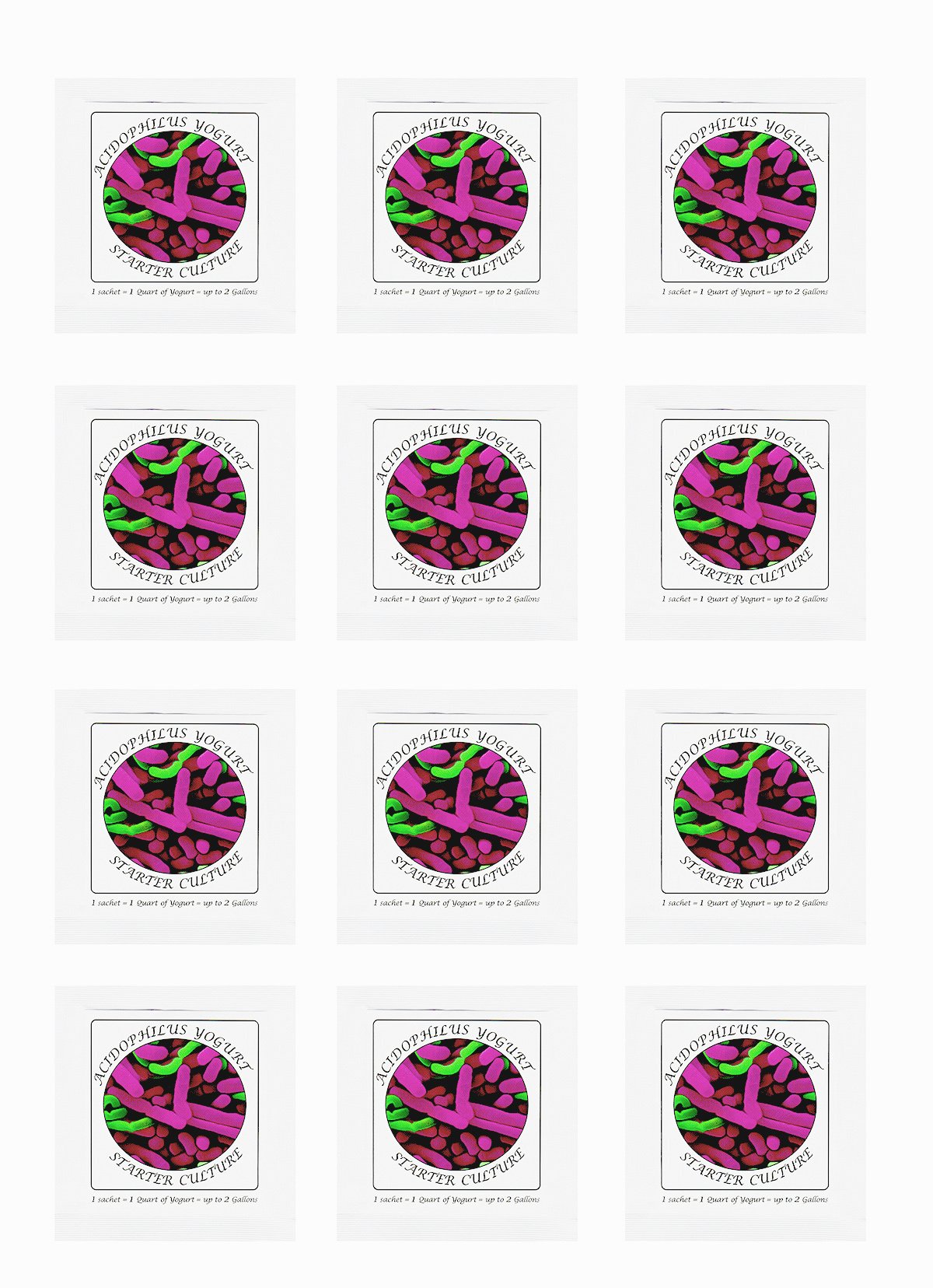 Yogurt Starter Cultures - Pack of 12 Freeze-dried Culture Sachets for Acidophilus Yogurt (12)