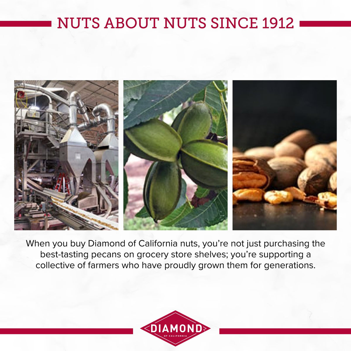 Diamond Of California Chopped Pecans 16 Oz
