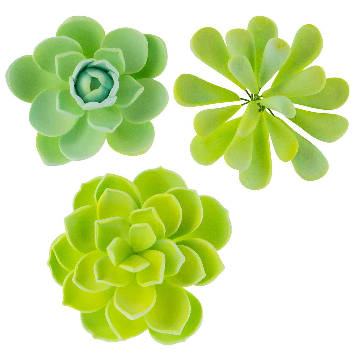 Global Sugar Art Succulent Mixed Assortment Sugar Cake Flowers, 3 Count By Chef Alan Tetreault