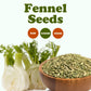 Food to Live Fennel Seeds, Whole Raw, Non-Irradiated, Vegan, 8 Ounce