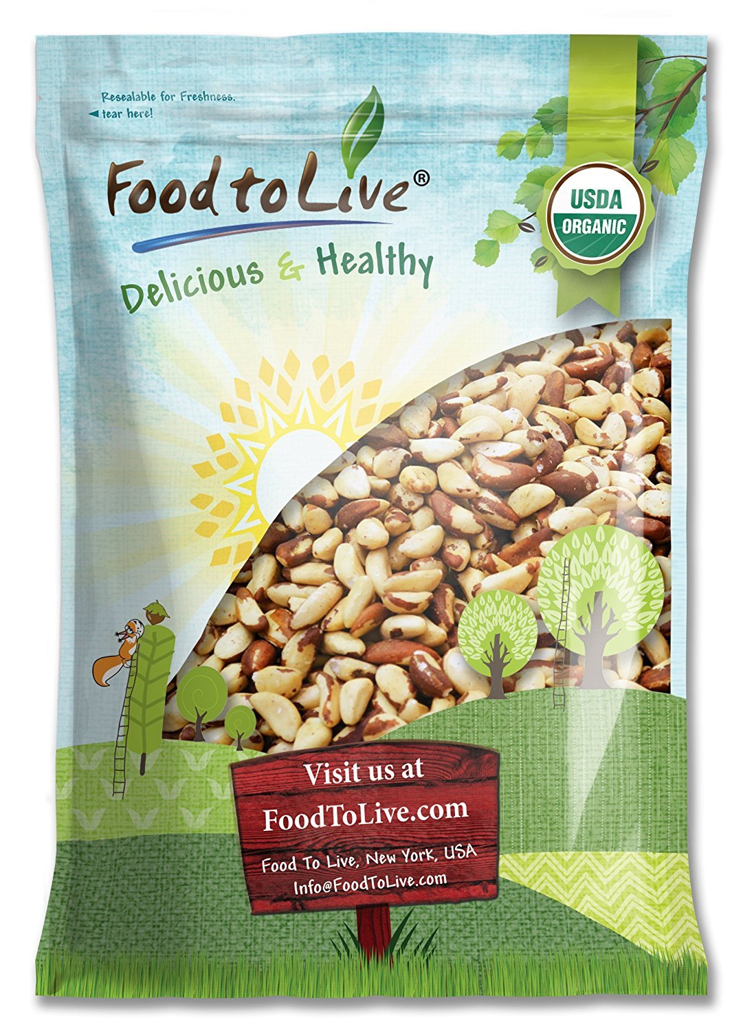 Food to Live Organic Brazil Nuts, Raw, Unsalted, 8 Pound Bulk, Non-GMO, Vegan, Keto Friendly, Low Sodium, Good Source of Selenium