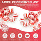 Jumbo Peppermint Candy Balls  5 Pound Bulk Peppermint Hard Candy  Approx 250 Individually Wrapped Mint Balls for Christmas Candy Jars  Office Bowls  and Holiday Party Favors.
