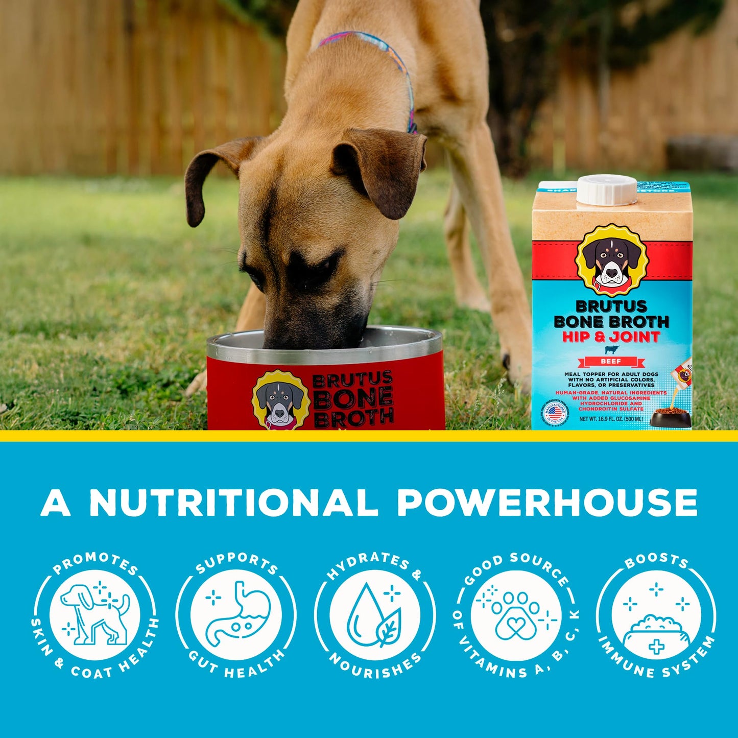 Brutus Bone Broth Dog Food Toppers - All Natural Bone Broth with Chondroitin & Turmeric, 16.9oz (Pack of 6)