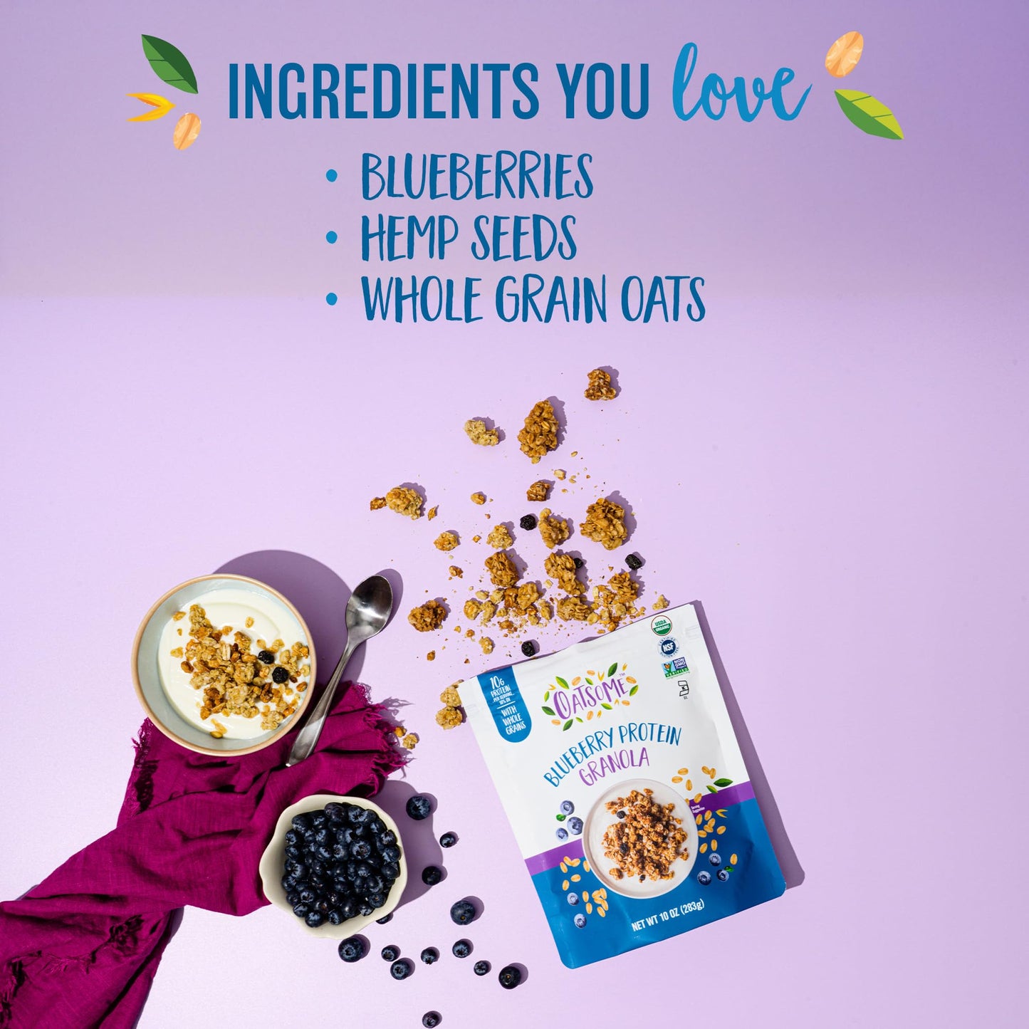 Oatsome Blueberry Protein Granola, 10g Protein, Gluten Free, 10 Oz Bag
