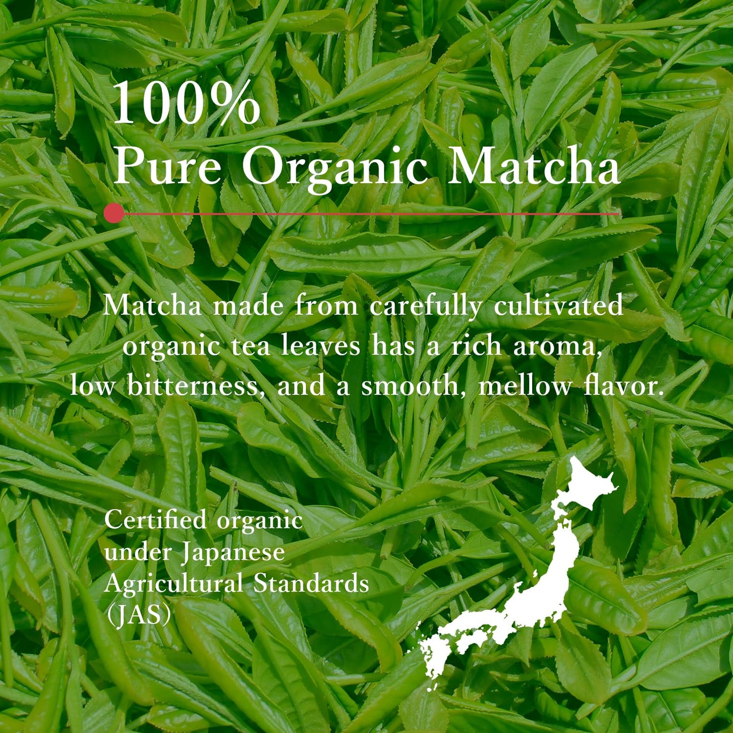 MIKAN YAMA ZEN GREEN Organic Matcha Powder, 100% Authentic Japanese Ceremonial Grade, 40g (1.41oz) - Saemidori Cultivar