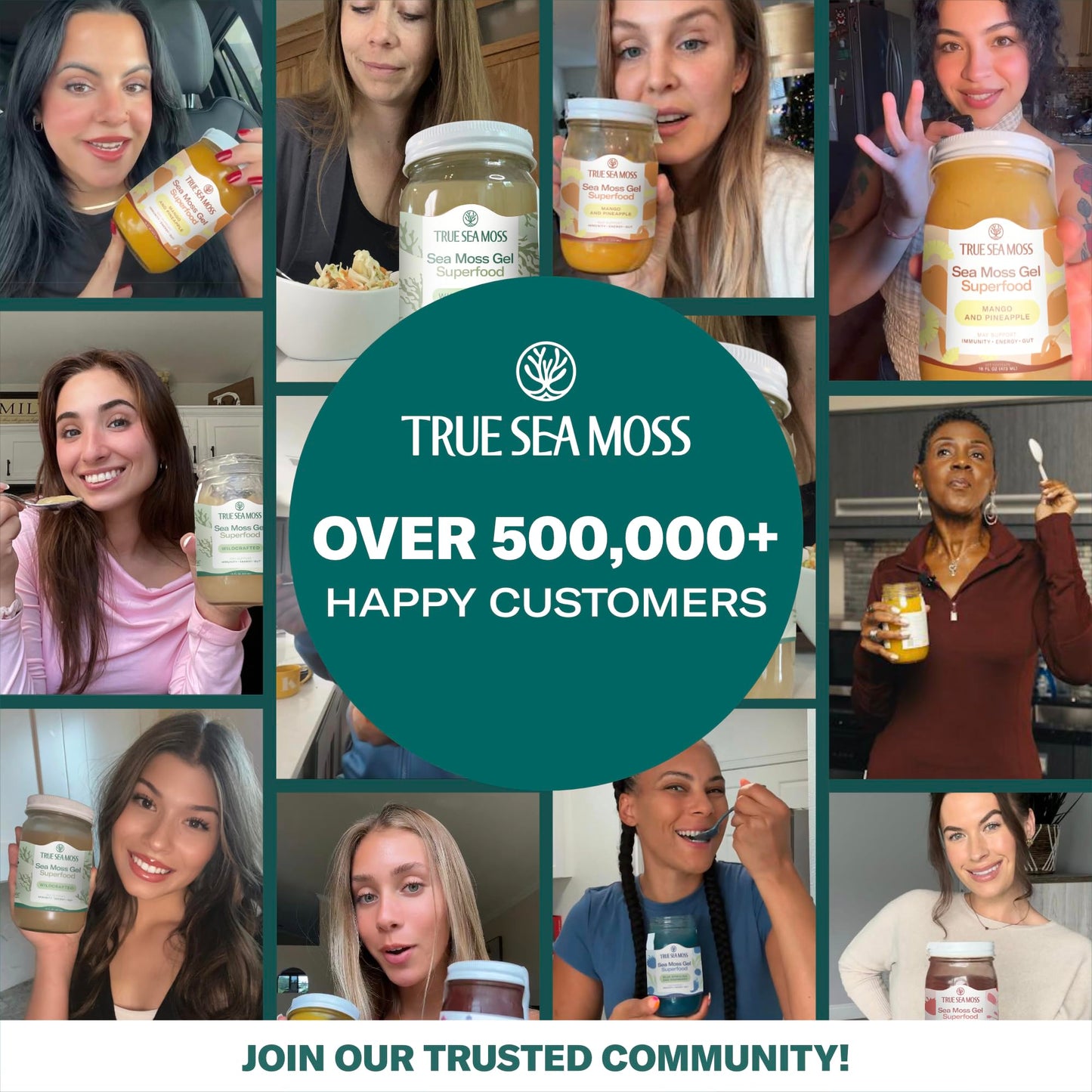 TrueSeaMoss Sea Moss Gel - Made in USA - Wildcrafted Seamoss  Fresh Fruits & Jarred Vegetables - Strawberry  Pack of 2 (Labels may Vary)
