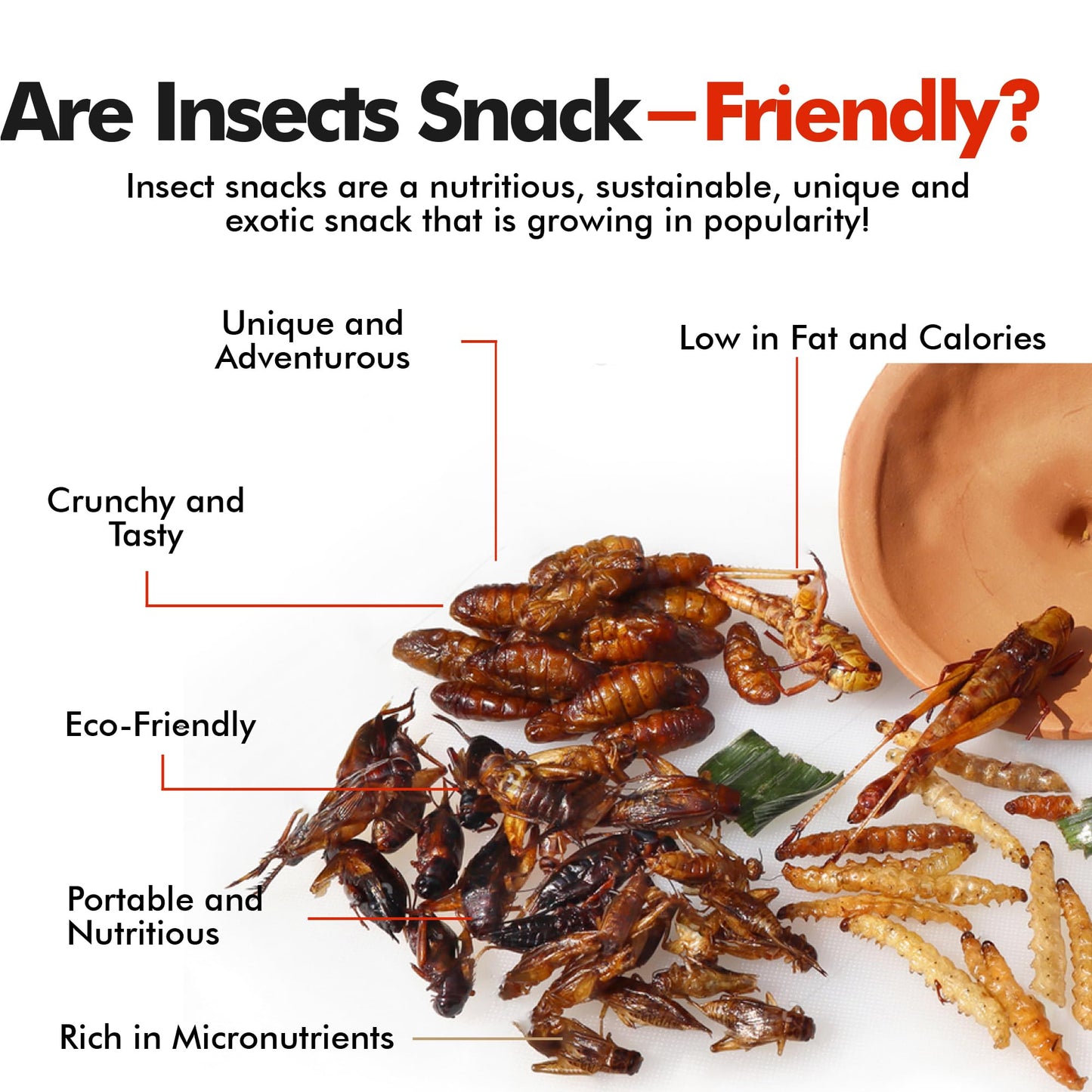 Hotlix Crick-Ettes Edible Bugs (6-Pack) | Salt N Vinegar, Bacon & Cheese, Sour Cream & Onion | Dried Crickets To Eat | Weird Snacks For Humans & Pets | Edible Crickets For Parties & Exotic Snacks