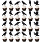 Leetaivie 24Pcs Black Glitter Crow Dessert Cupcake Toppers - Featured Halloween Themed Party Cake Topper (Black)
