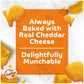 Pepperidge Farm Goldfish Crackers, Cheddar Crackers, Family Size, 10 Oz Bag