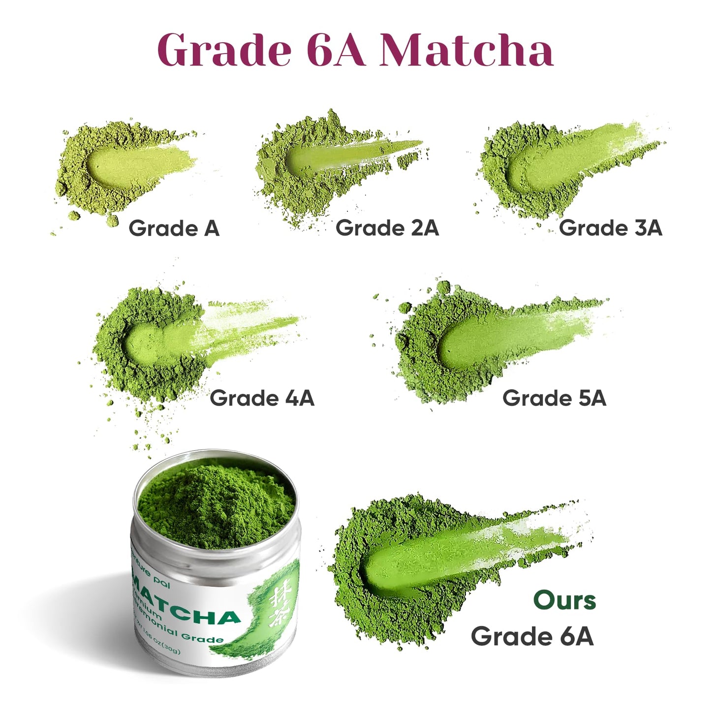 Venture Pal Matcha Powder VP205-R3