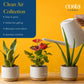 Costa Farms Live House Plants (6 Pack), Easy to Grow Live Indoor Houseplants, Growers Choice Air Purifier Set, Potted in Indoor