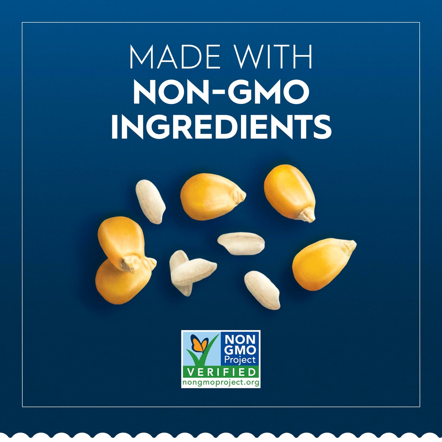 Barilla Gluten Free Rotini Pasta, 12 Ounce (Pack of 8) - Non-GMO Gluten Free Pasta Made with Blend of Corn & Rice - Vegan