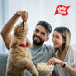 Jolly Time Healthy Pop Microwave Popcorn, Low Fat Gluten Free Non-GMO, 3oz Sharing Bag, 3 Bags Per Carton (Healthy Pop - Crispy