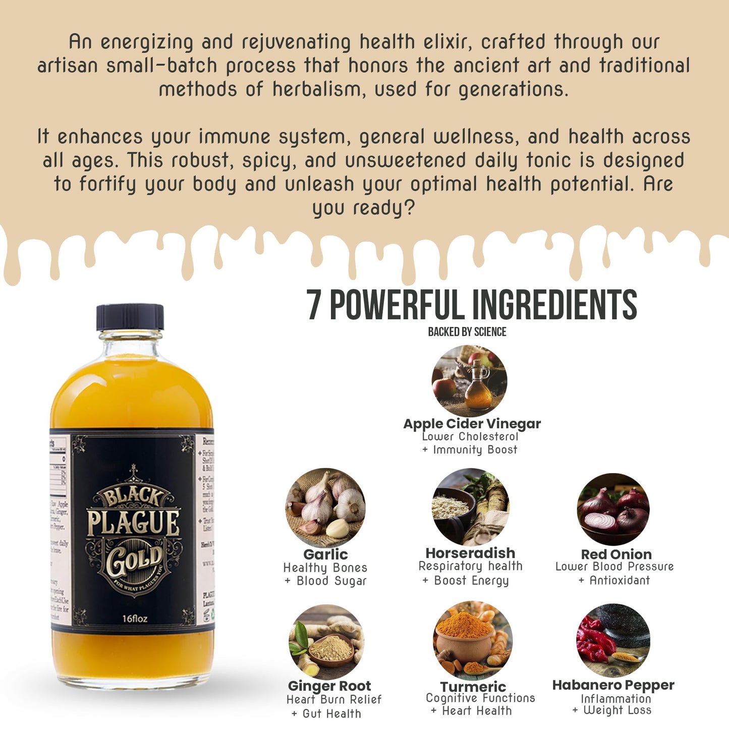 BLACK PLAGUE GOLD Fire Cider Elixir - Raw Apple Cider Vinegar, Small Batch, Sugar-Free, 16 Fl Oz