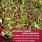 Hibiscus Dried Flowers, Tea Bags, 100% Natural, Pure from Hibiscus Flowers. Loose Flower Hibiscus Herbal Tea. Hibiscus Flower Tea. No Sugar, No Caffeine, No Gluten, Vegan.