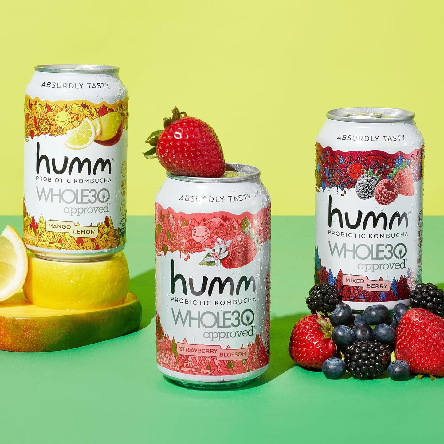Humm Whole30 Approved Kombucha, Strawberry Blossom, Organic, Vegan & GMO Free (12 Pack)