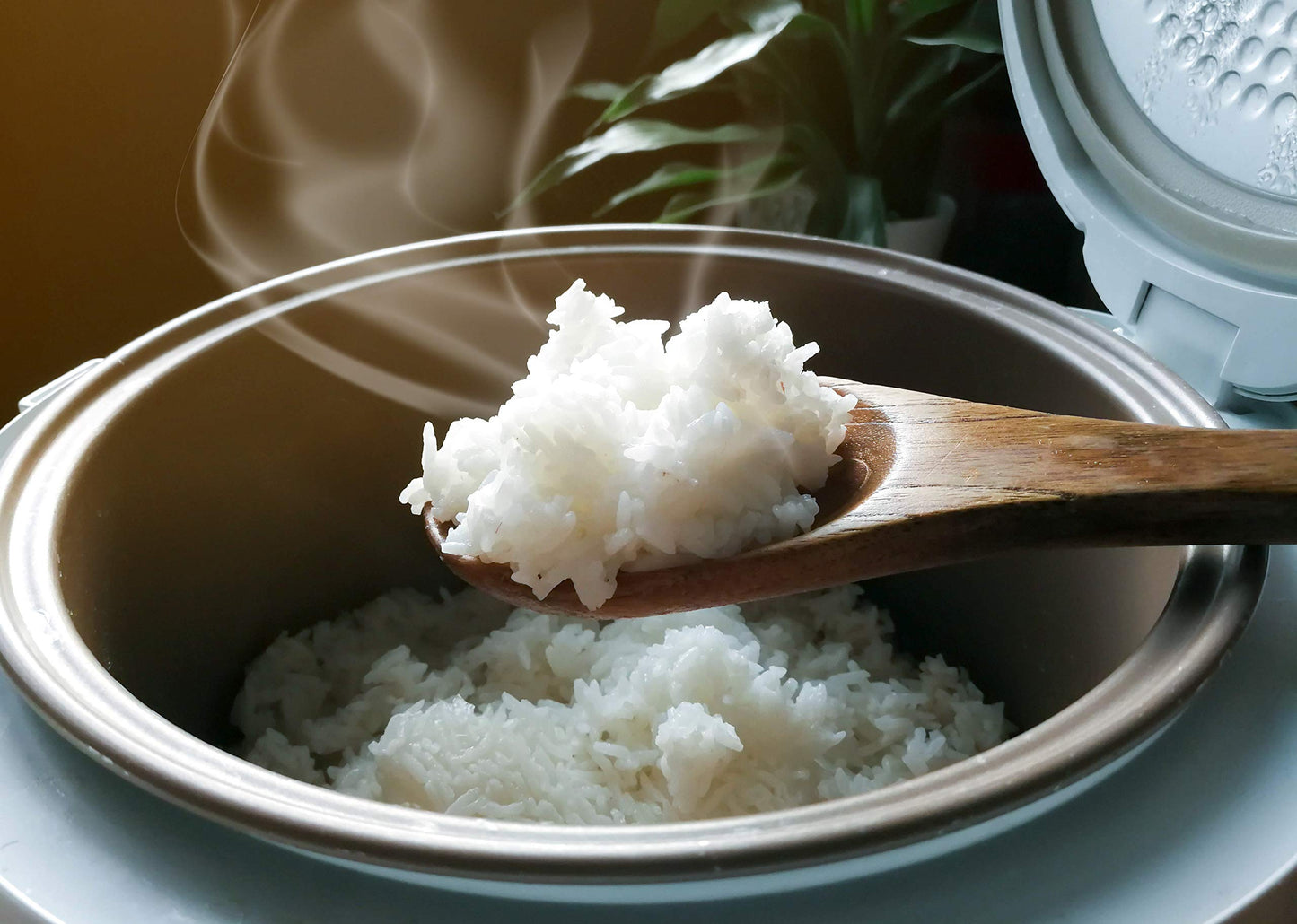 Golden Star Jasmine Rice, 10 Lb
