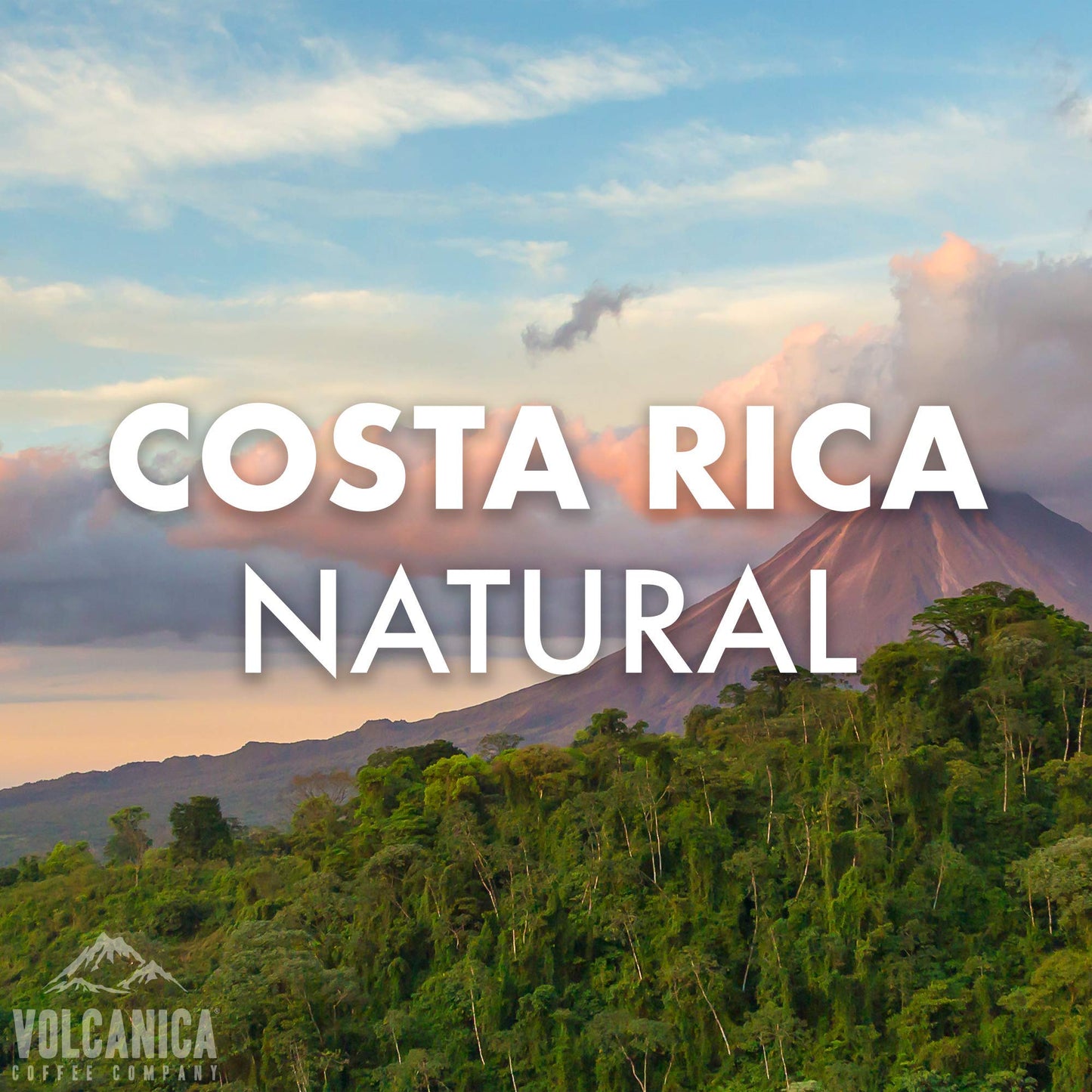 Costa Rican Coffee, Natural Process, Ground, Fresh Roasted, 5 Lbs