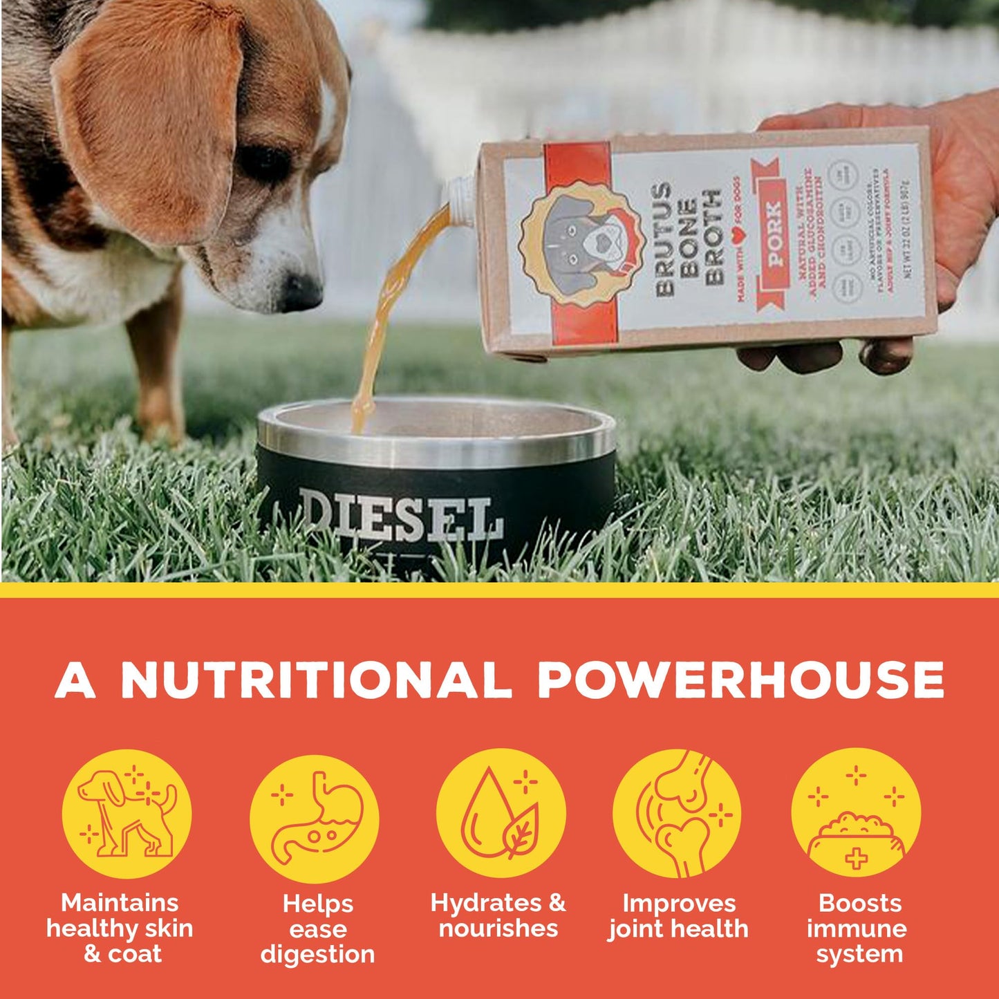 Brutus Bone Broth for Dogs - All Natural Gravy & Treat - 64 Fl Oz - Made in USA - Glucosamine & Chondroitin for Healthy Joints