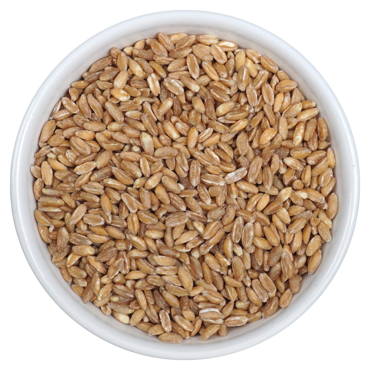 Hampton Distribution Farro, Brown, 1 Pound Bulk Bag, Good Source of Dietary Iron, Fiber, and Protein