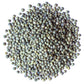 Food To Live Organic French Green Lentils, 8 Ounces - Non-Gmo, Whole Dry Beans, Raw, Sproutable, Vegan, Kosher, Bulk. Rich In Fo