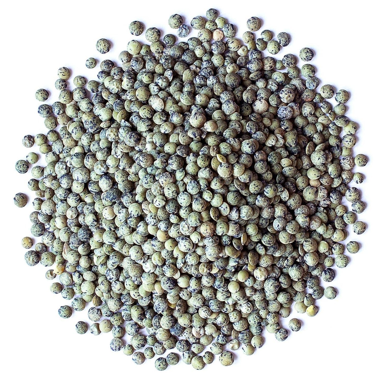 Food To Live Organic French Green Lentils, 8 Ounces - Non-Gmo, Whole Dry Beans, Raw, Sproutable, Vegan, Kosher, Bulk. Rich In Fo