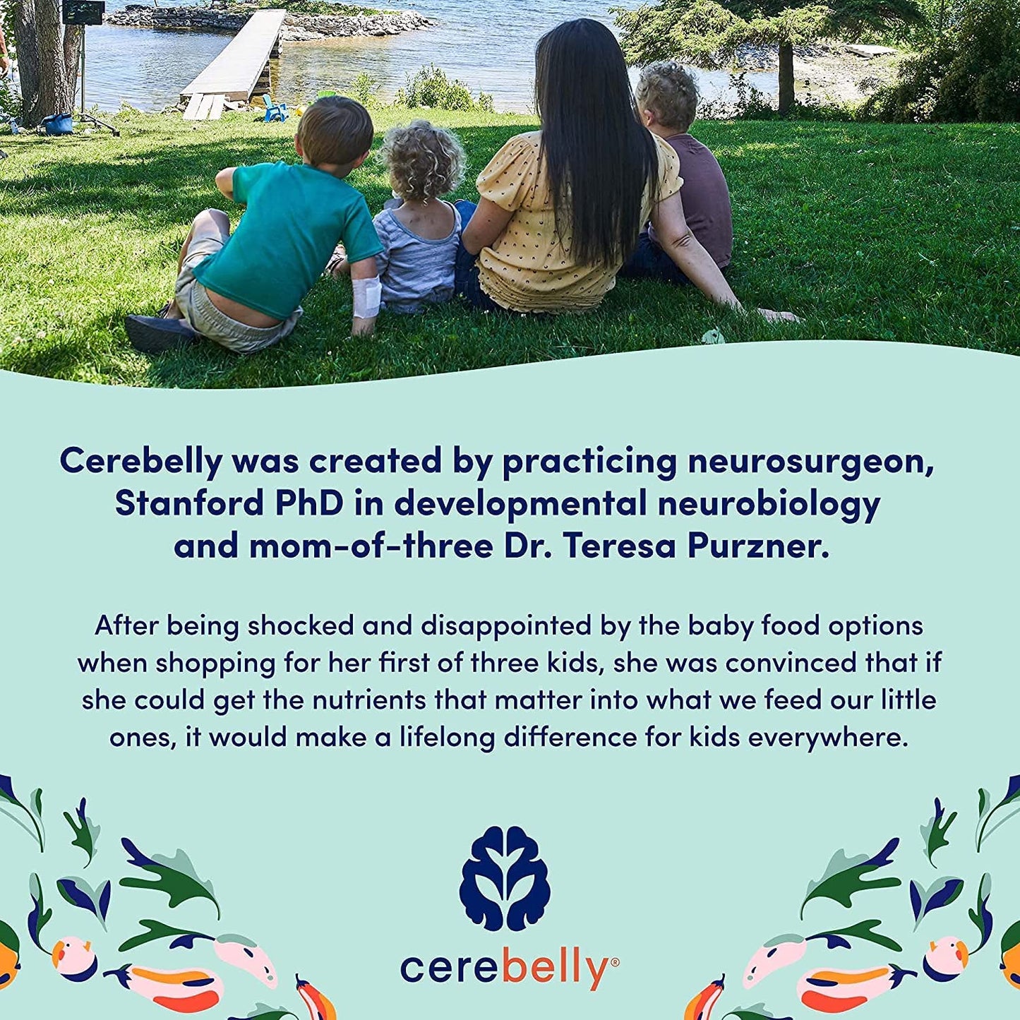 Cerebelly Organic Baby Food Pouches, Beet Carrot Blueberry Purees, 16 Nutrients, No Added Sugar, Fiber & Non-Gmo, 4Oz, 6 Pack