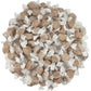 Firstchoicecandy All Flavor Saltwater Taffy (Chocolate, 1 Pound)