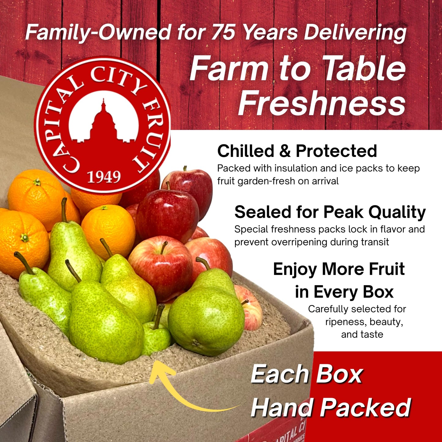 Capital City Fruit Fresh Clementines Gift Box | Gift for Holiday, Thank You, Get Well | Sympathy Gift Box | Sweet Fruit | Health