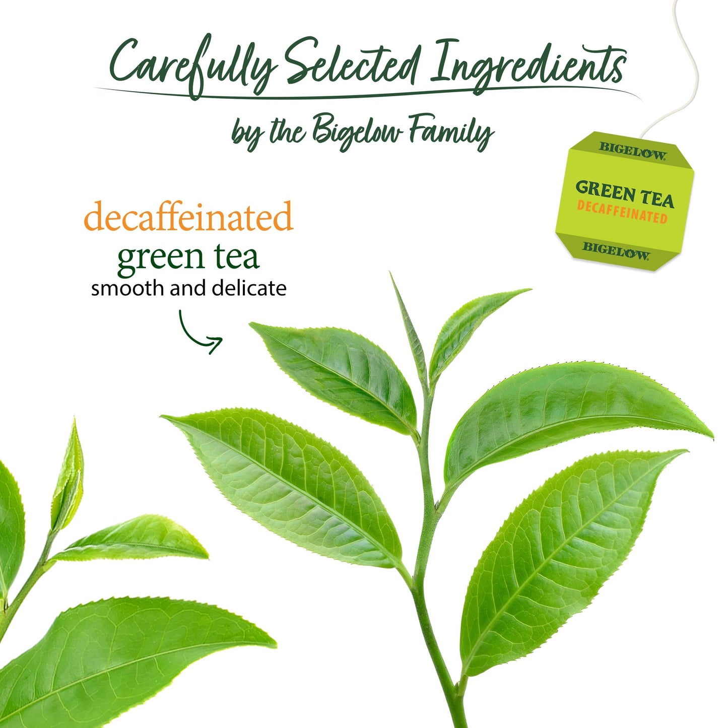 Bigelow Classic Green Tea Decaffeinated, 20 Ct