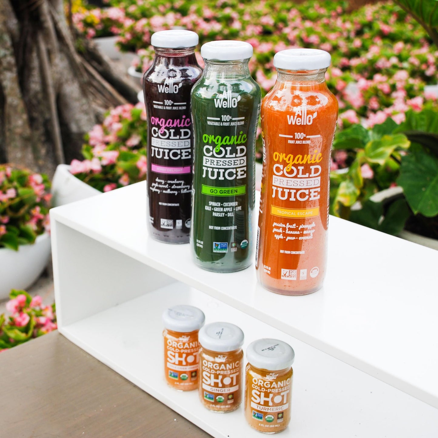 ALLWELLO Organic Cold Pressed Juice Drinks, 6 Pack, Gluten Free, Non-GMO, No Preservatives, No Sugar Added, 11.1 Fl Oz