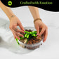 Nut Cravings Gourmet Collection - Rosh Hashana & Shana Tova Mixed Nuts Gift Basket + Green Ribbon (4 Assortments) Arrangement Pl