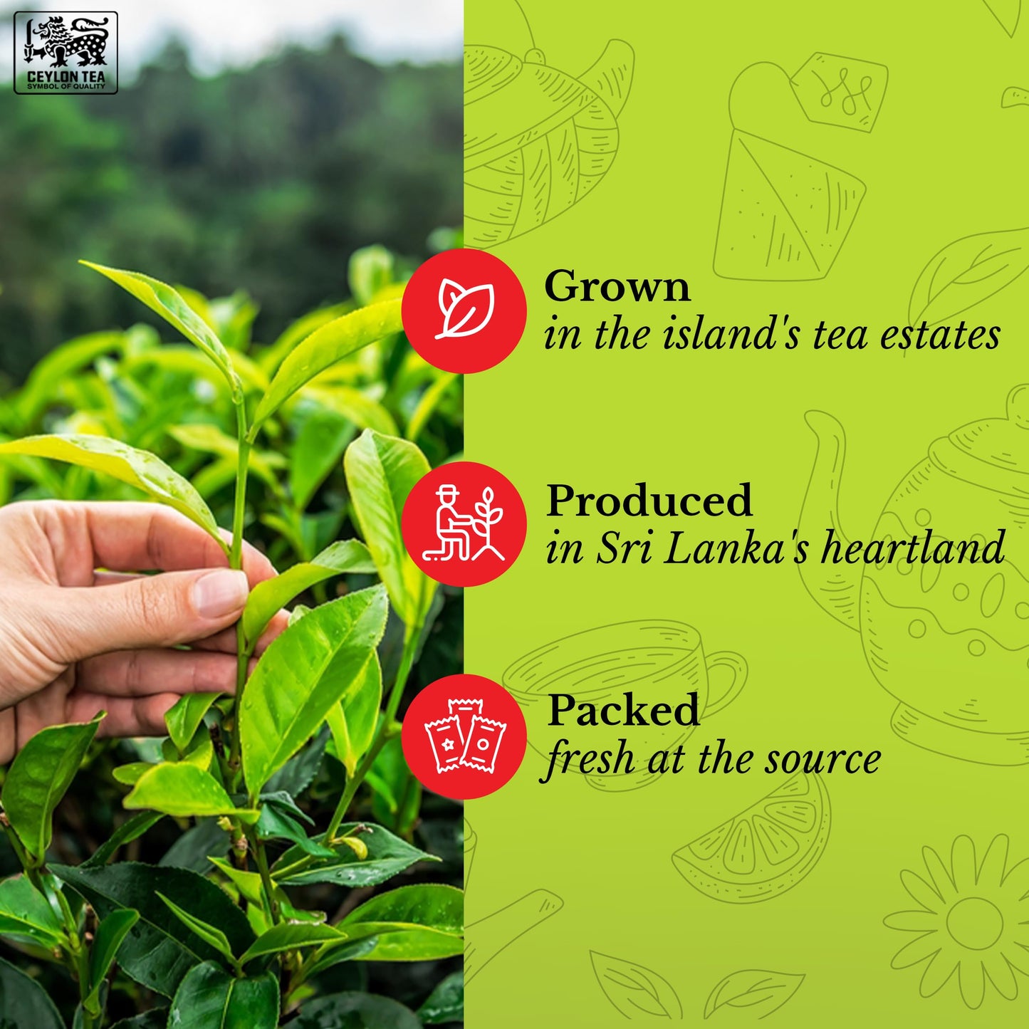 MEVLÂNA Pure Ceylon Tea - Premium Hand-Picked Black Tea with Rich Aroma, 16 Ounce Loose Leaf
