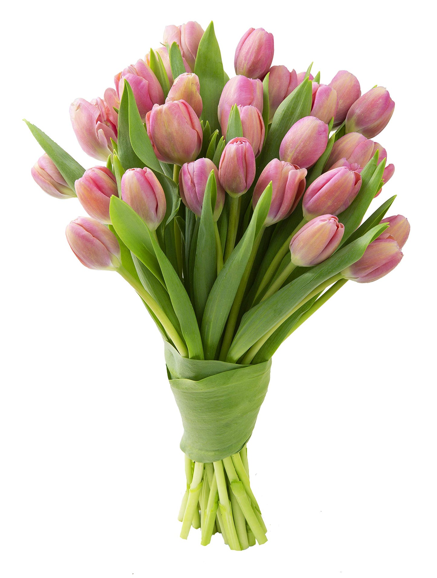 Blooms2Door Flowers - Valentine Collection - 30 Pink Tulips (Farm-Fresh) without vase . Gift for Birthday, Sympathy, Anniversary, Get Well, Thank You, Valentine, Mother’s Day Fresh Flowers