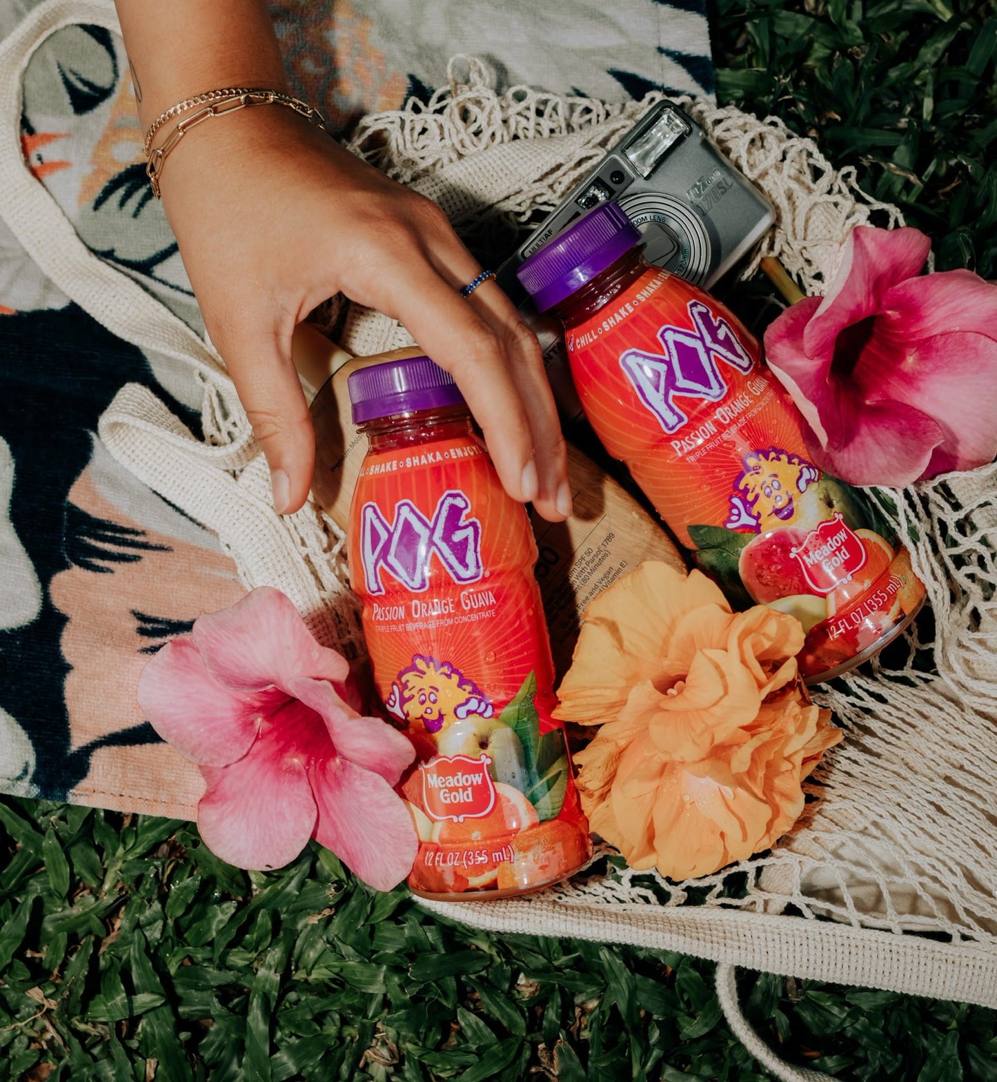 Meadow Gold Dairies Hawaii POG Juice 12oz 6-Pack Case - Tropical Flavor, Convenient Size, Perfect for Refreshing Drinks