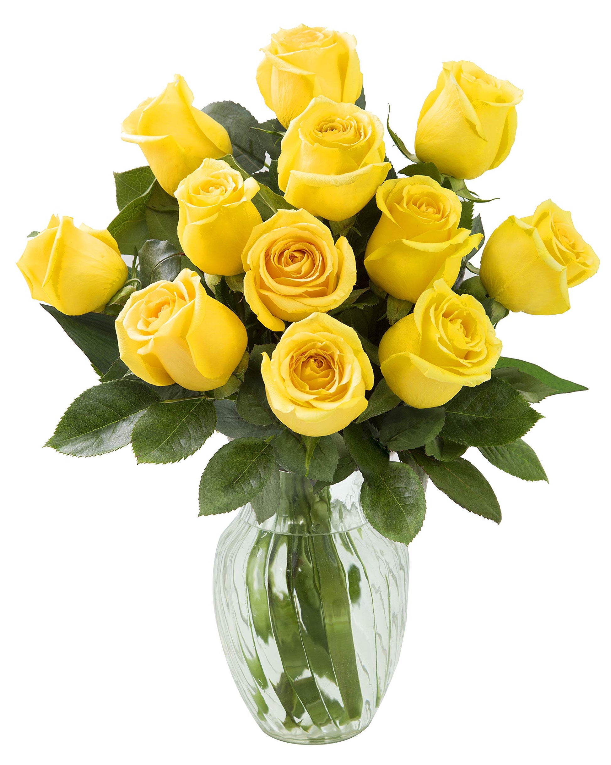KaBloom Flowers - Bouquet of 12 Fresh Yellow Roses (Farm-Fresh, Long-Stem) with Vase - Gift for Birthday, Sympathy, Anniversary, Get Well, Thank You, Valentine, Mother’s Day Fresh Flowers
