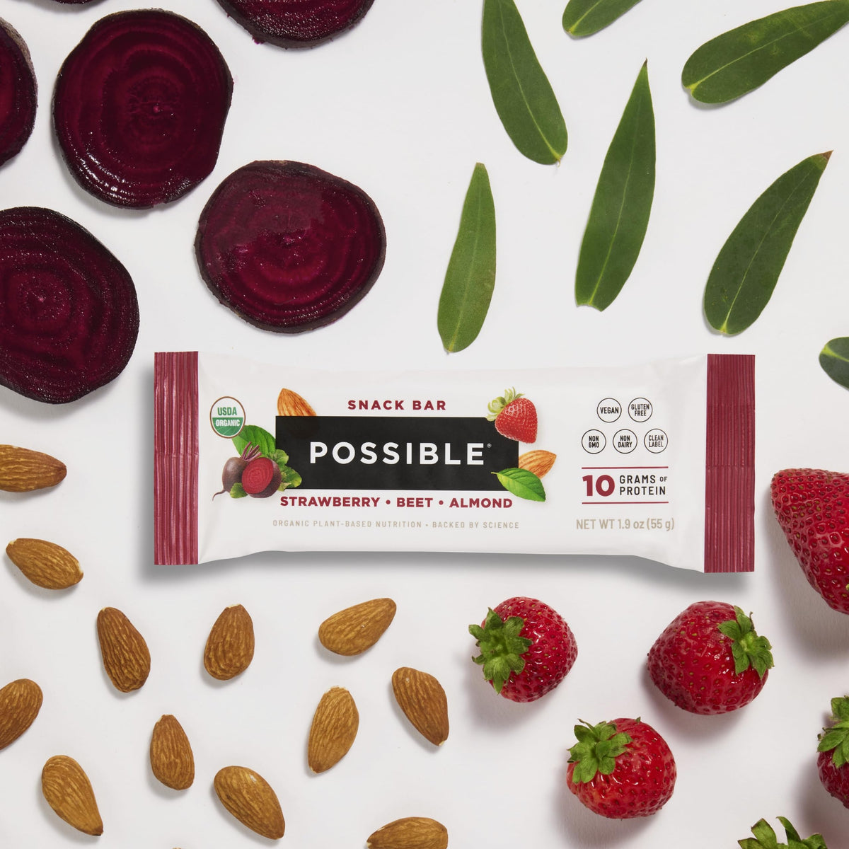 POSSIBLE Snack Bar - Organic Energy Bars with 10g of Plant-Based Protein - Vegan, Gluten-Free, Non-Dairy, USDA Organic - Healthy