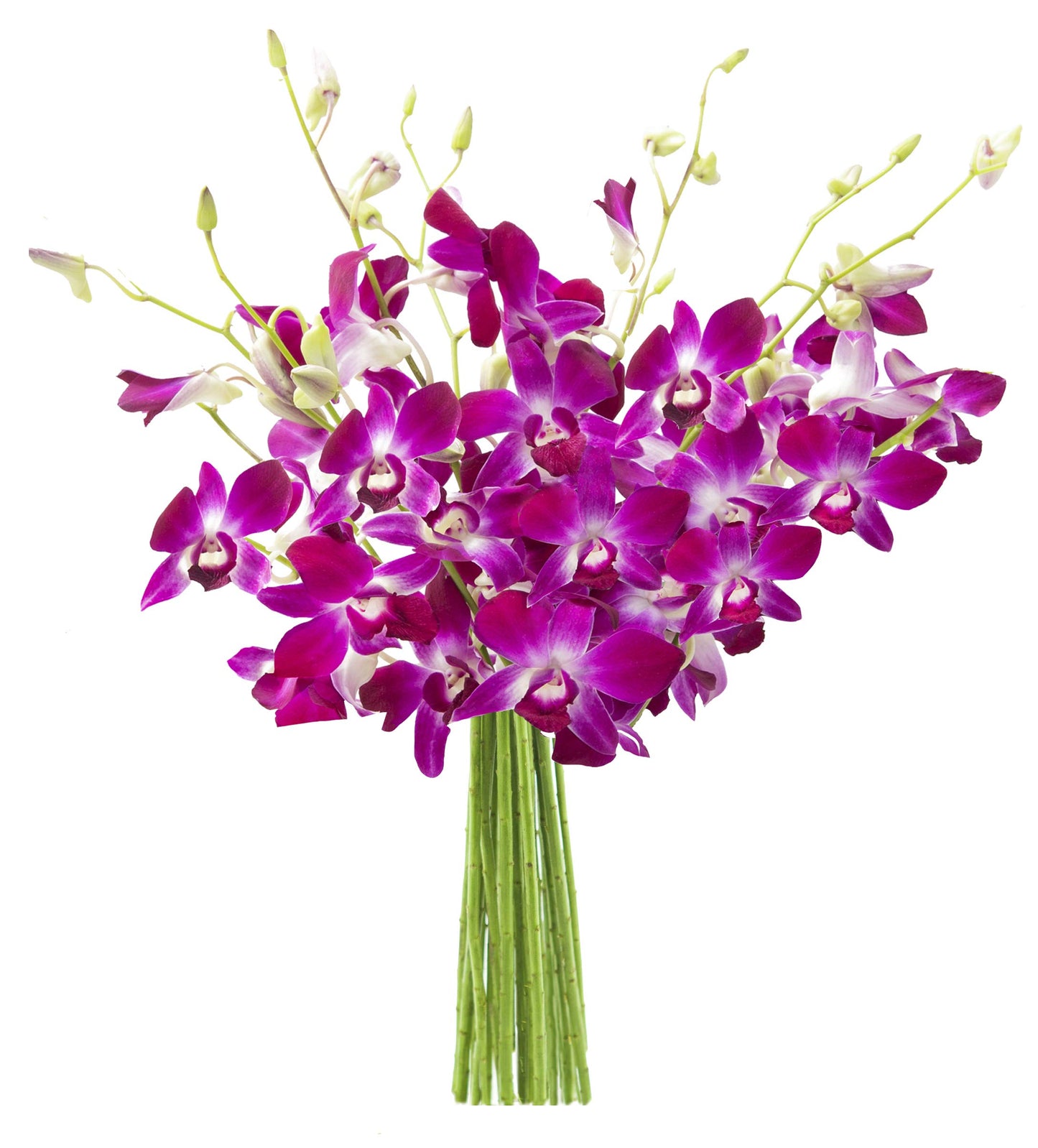 KaBloom Flowers - Bouquet of 10 Purple Orchid - Gift for Birthday, Sympathy, Anniversary, Get Well, Thank You, Valentine, Mother’s Day Fresh Flowers